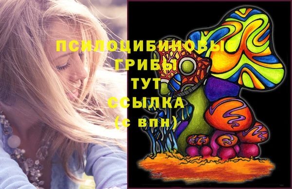 синтетический гашиш Алексин