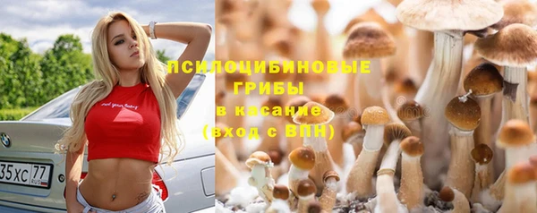 трава Алексеевка